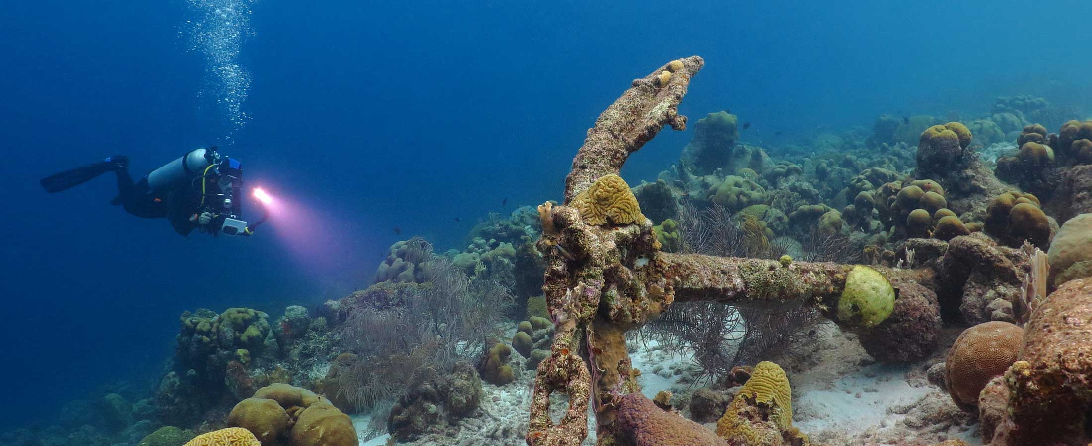 devils claw dive site