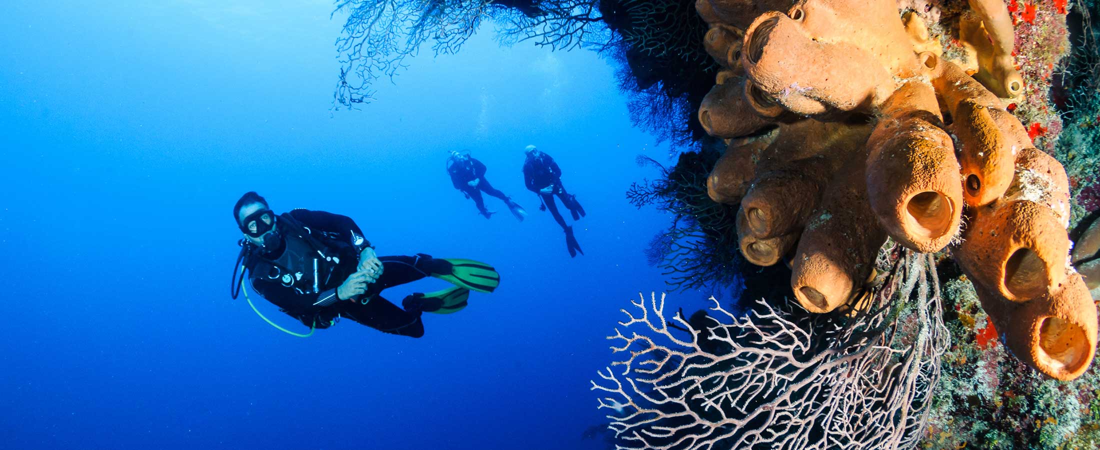 RRI Wall dive site